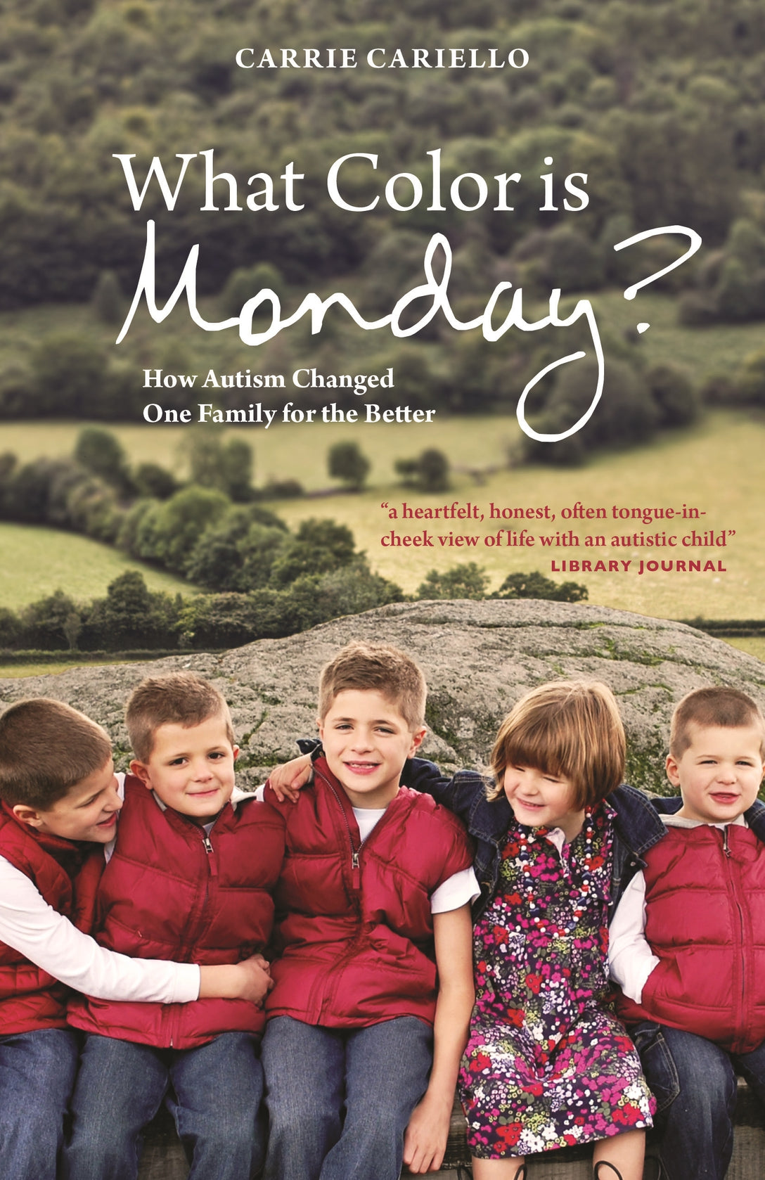 What Color is Monday? by Carrie Cariello