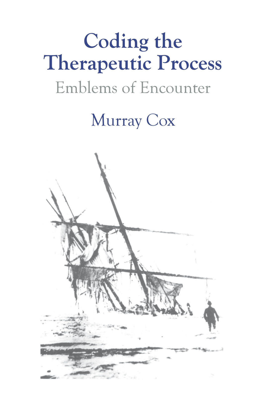 Coding the Therapeutic Process by Murray Cox