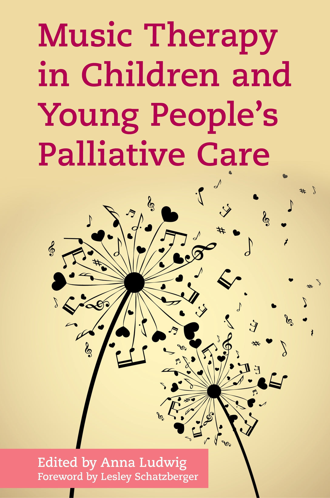 Music Therapy in Children and Young People's Palliative Care by Anna Ludwig, Lesley Schatzberger