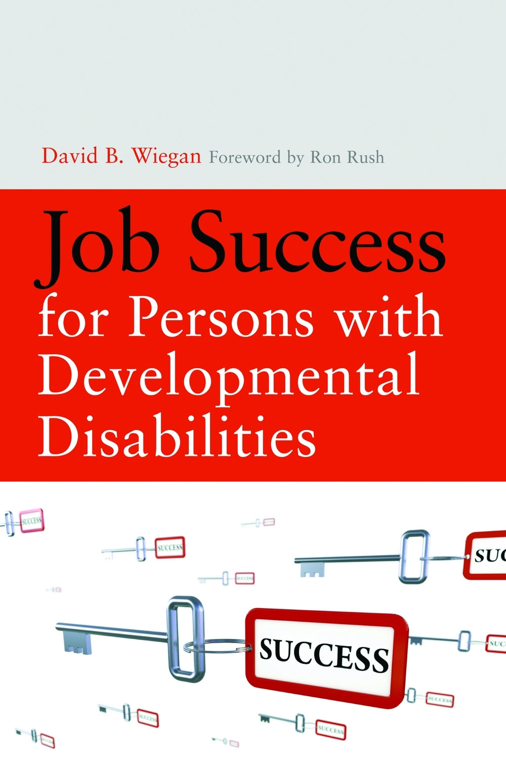 Job Success for Persons with Developmental Disabilities by David Wiegan, Ron Rush